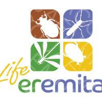 Life Eremita