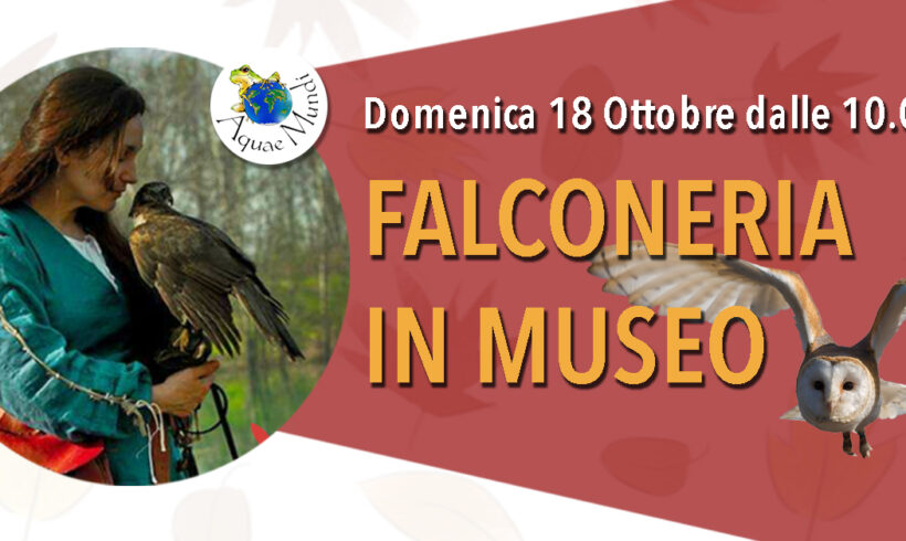 Falconeria in Museo