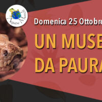 Un museo da Paura!