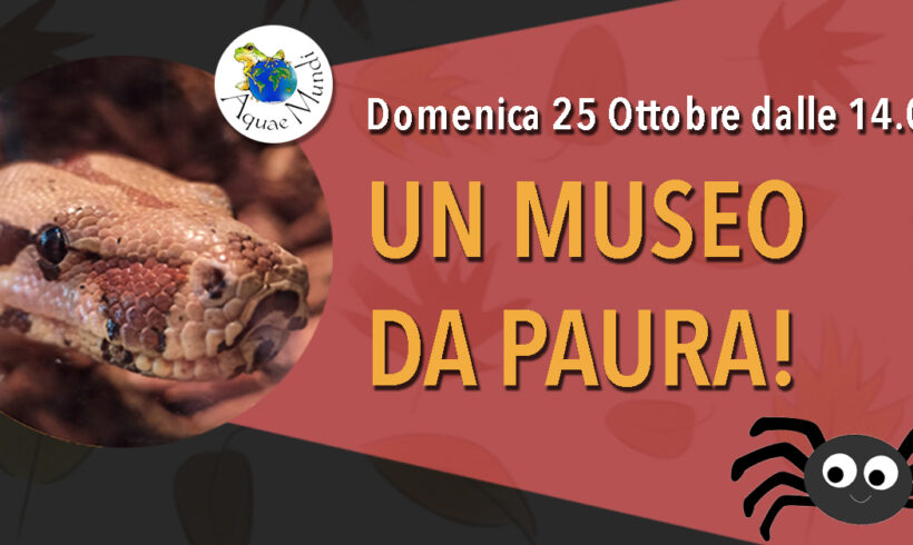 Un museo da Paura!